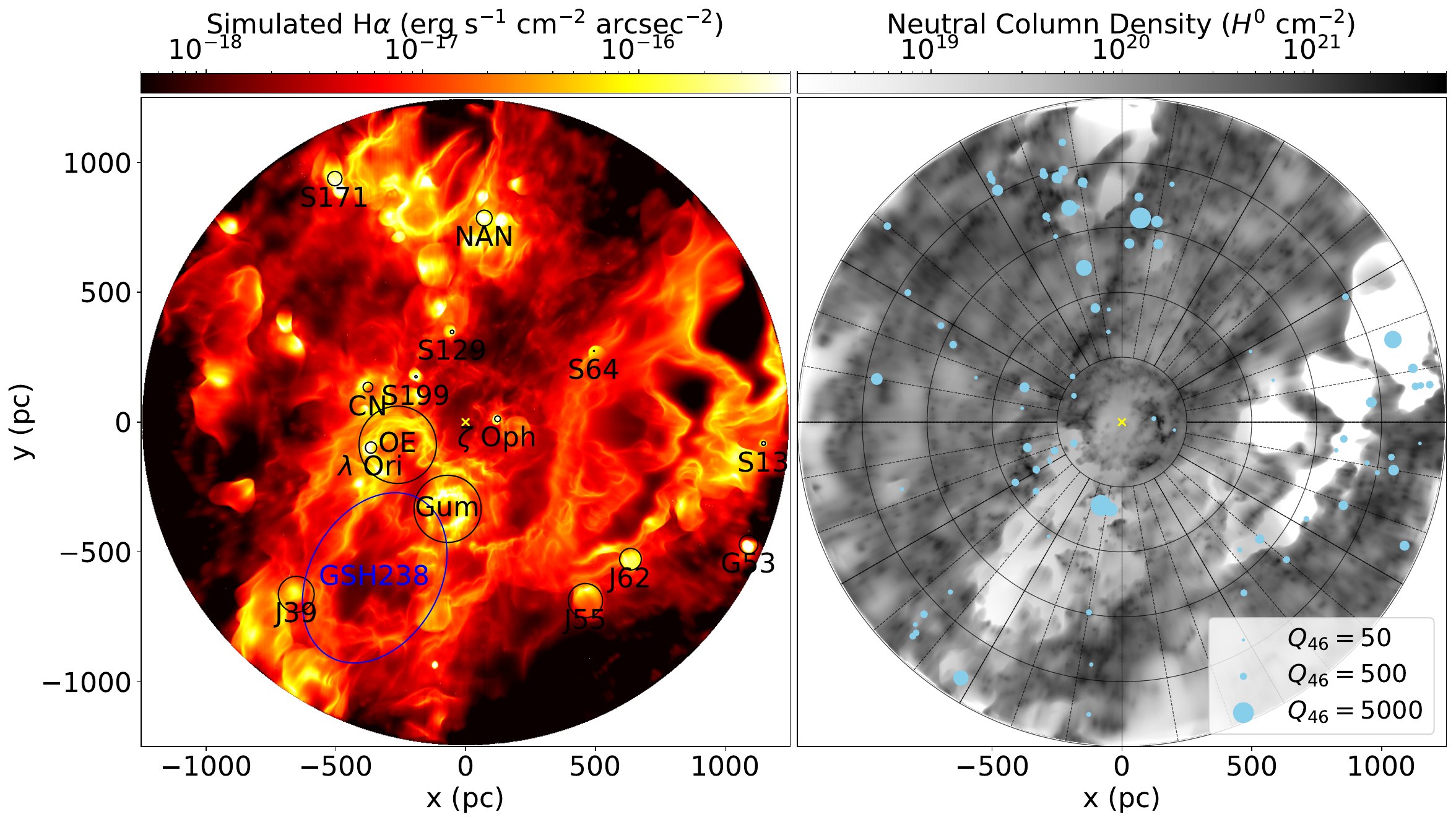 Top-down simulated H alpha and neutral hydrogen maps around the Sun